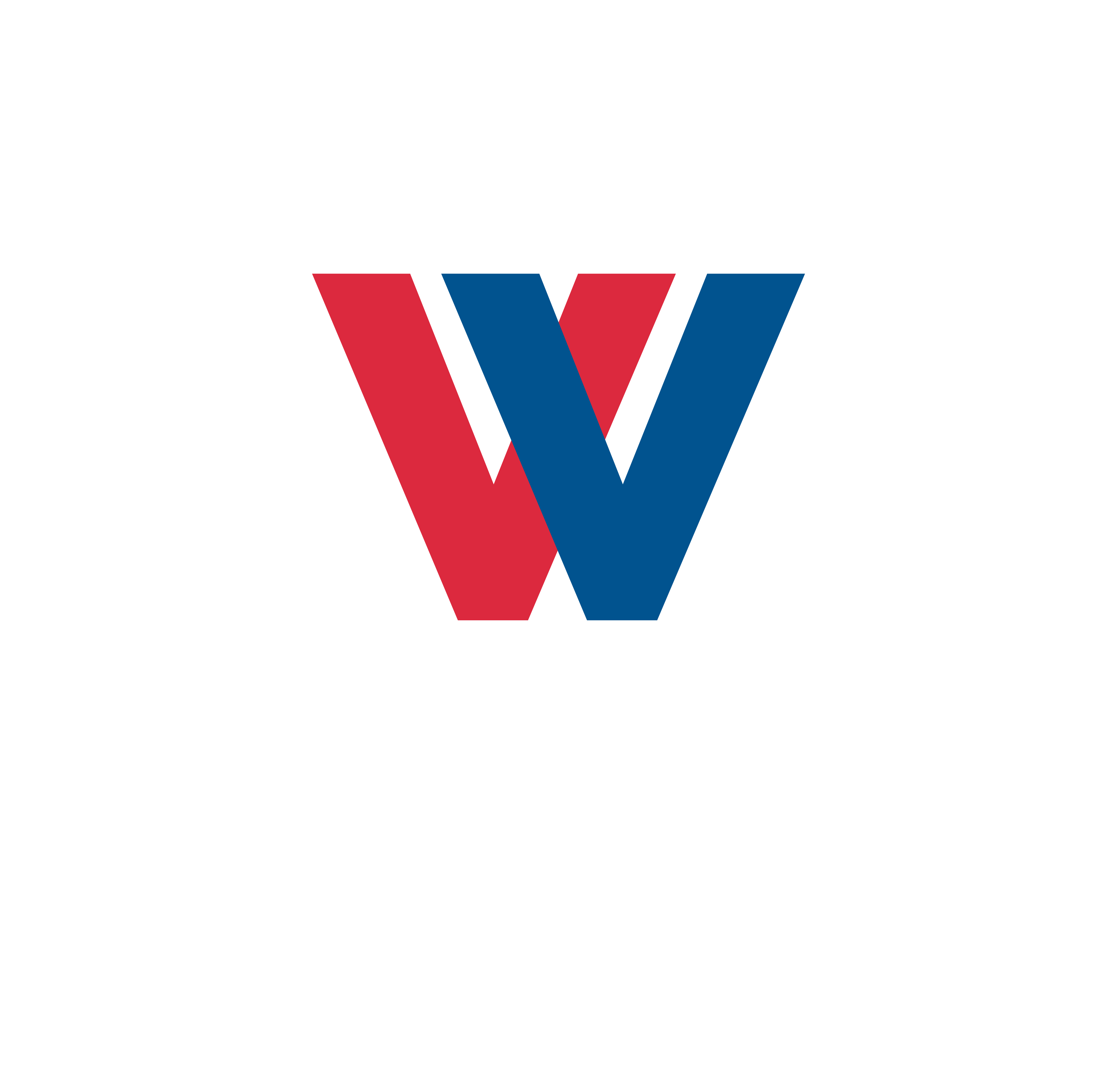Visión Vitalicia